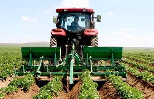 Phim mulching Máy khoai lang sườn núi bao gồm, phim bao gồm, thụ tinh, nhỏ giọt tích hợp Machi - Product Image 5