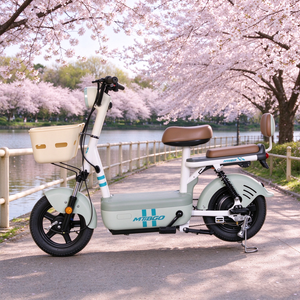 Bicicleta Eléctrica de Una Velocidad con Freno de Tambor Delantero y Freno de Expansión Trasero, Faro Delantero y Luz Trasera para Adultos, para Uso Diario - Product Image 6