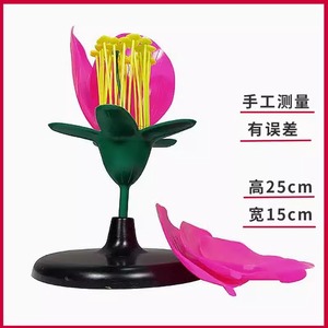 Modelos de experimentos de biología para escuelas secundarias y preparatorias, material didáctico de biología, modelos ampliados de estambres y pétalos de flores. - Product Image 4