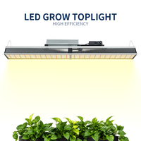 Barre lumineuse LED commerciale à spectre complet pour culture hydroponique Lm301 Pro, lampe de culture pour éclairage supérieur en serre