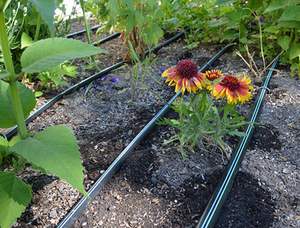 Manguera de goteo de 20mm Sistema de riego por goteo de tubería de goteo de dos agujeros Sistema de bomba solar de pastizales para riego agrícola a gran escala - Product Image 6
