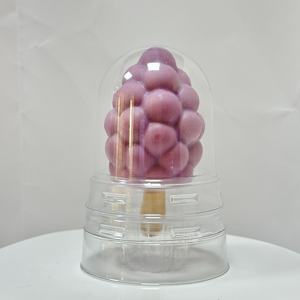 Daqiaodao 75g 도매 포도 맛 이국적인 과일 아이스크림 초콜릿 아이스 백 냉동 포도 아이스크림 비건 - Product Image 3