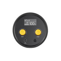 Godox ML60Bi ML60 Bi 60W Bi-Color Silent Mode Portable Brightness Adjustment Support Li-ion Outdoor led light for video camera