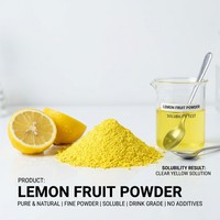 Poudre de citron naturelle FVP-11, poudre de jus de citron soluble dans l'eau, qualité alimentaire, séchée par pulvérisation, sauvage
