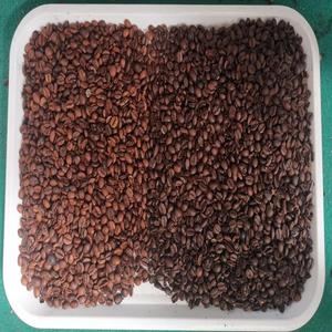 Machine de tri optique automatique pour l'avoine – Équipement de détection des défauts et des impuretés des grains - Product Image 4