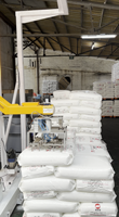 Désengaucheteuse mobile sur rail |   Bras robotique flexible pour le déchargement de sacs et l'alimentation des matériaux |   Sacs de 25 à 100 kg, 100 à 120 sacs/h.