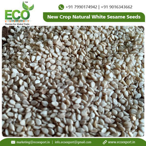 พืชใหม่ธรรมชาติเมล็ดงาสีขาวในราคาที่ต่ำที่มีการบรรจุในถุงที่แข็งแกร่งเมล็ดงาสีขาว - Product Image 3