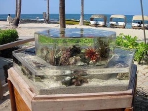 魚タンク農場養殖大型特大 - Product Image 2