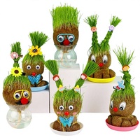 Poupée à Tête d'Herbe aux Grands Yeux, Créative, pour Enfants de Maternelle, Plante en Pot Petite et Intérieure à Planter Soi-même, Cadeau