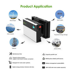 LFP51200 Adaptable to Household Appliance Power Supply Lithium Wall Mounted 51.2 V 200 Solar <b>Energy</b> <b>Storage</b> <b>System</b> Delongtop Gra - Product Image 3
