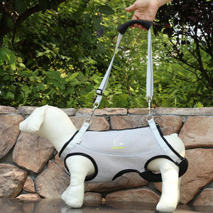 Modieuze, ademende polyester hondenharnas met gevoerde riem en stevige mesh rugzak voor honden met zwakke achterpoten - Product Image 5