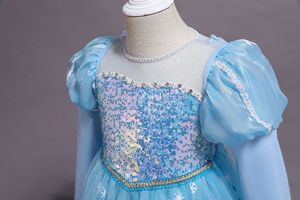 All'ingrosso Elsa neve regina principessa Costume da ragazza stampa floreale Chiffon Costume età gruppo bambini