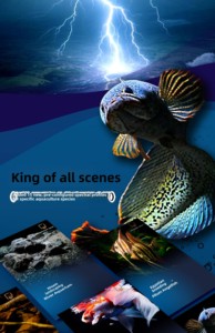 Lampe d'aquarium moderne en plastique JSD UFO, spectre complet, contrôle intelligent par application, indice de réflexion des couleurs élevé (RA), pour plantes aquatiques et coraux, pour aquarium d'eau douce. - Product Image 4