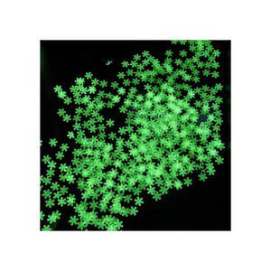 Glitter Fluorescente per Nail Art, Forme a Cuore, Stella, Luna e Rotonde, Polvere Ultra-sottile per Unghie che si Illumina al Buio - Product Image 5