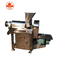 Extracteur de jus industriel à succès pour oignons et carottes, machine à broyer, presse-agrumes commercial pour fruits et légumes