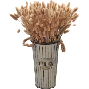 Flores secas de <span class=keywords><strong>HY</strong></span>-D9Material, ramos de hierba de cola de conejo, bolsa Opp, flores decorativas de Navidad y coronas de larga duración, 60 uds./<span class=keywords><strong>Bu</strong></span> - Product Image 6