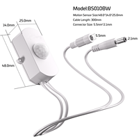 Capteur de lumière d'escalier USB DC avec variateur de luminosité et détecteur de mouvement pour contrôle de bande LED Rayzeek
