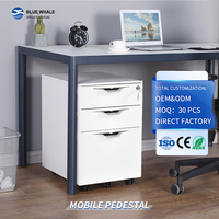 Meuble de rangement en gros sous bureau, amovible, pour bureau et salle d'étude, armoire à dossiers en acier, meuble mobile en métal pour bureau et école