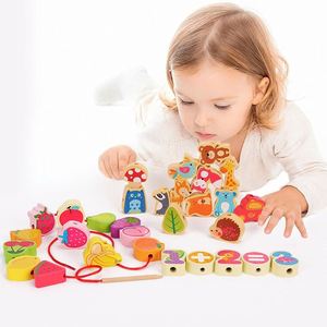 Juego de Bloques de Madera para Habilidades Motoras Finas, Regalos de Cumpleaños, Clasificación de Formas y Colores, Juego de Enhebrar Cuentas - Product Image 2