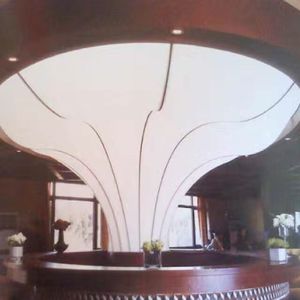 Trang Trí Trần Giả Tùy Chỉnh DIY Trắng Mờ Backlit Vải PVC Stretch Trần Phim Panel Desgin Trần Nhựa - Product Image 3