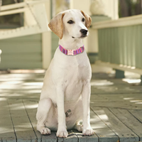 Doe Accessoires pour chiens Collier pour chien en tissu bohème à imprimé solide avec boucles en métal à dégagement rapide Sangle en nylon et polyester durable