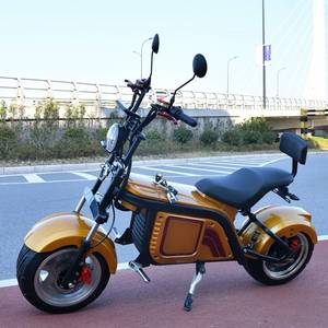 <span class=keywords><strong>Moto</strong></span> électrique chinoise 1500W pour adulte Super Motos électrique - Product Image 5