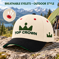 Casquette de baseball personnalisée en coton brodé vintage, ajustable, à visière incurvée, pour le travail en extérieur et les loisirs, vente en gros