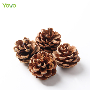 Venta al por mayor de piñas secas naturales secas para decoración de Navidad, velas de jabón, material para manualidades - Product Image 4