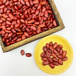 Đậu Nhỏ Khô Tự Nhiên Ăn Được Chất Lượng Cao Đậu Đỏ Thận Xung - Product Image 5