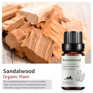 Aceite Esencial de Árbol de Té Natural a Granel 10ml 100% Puro con Incienso, Canela, Cedro y <span class=keywords><strong>Cajeput</strong></span> para Difusor de Coche y Cuidado de la Piel al por Mayor - Product Image 2