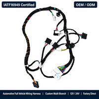 Kabel Harness Mobil Kustom OEM 12V 24V Tegangan Rendah Multi-Cabang Perakitan Kabel Otomotif IATF16949