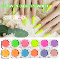 Prix d'usine Bojun Série XYG 12 Couleurs Poudre Luminescente Vente en Gros Pigment Phosphorescent Fourniture B2B