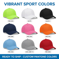 Gorra Snapback Deportiva 100% Algodón al por Mayor con Bordado 3D para Pesca, Ciclismo, Fiestas y Viajes