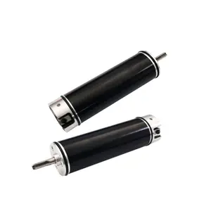 DC Brushless Motor 1654 High Speed Dental Equipment Nail Drill and Polisher 16M 12 V 24V Micro Motor Permanent Magnet IE 2 Diven