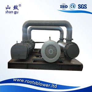 <span class=keywords><strong>Souffleur</strong></span> Roots à déplacement positif triphasé 415V à haut rendement, à faible bruit, pour le transport pneumatique et l'aération - Product Image 6