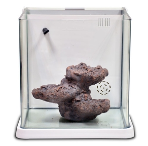 อุปกรณ์ตกปลาแนวหินปะการังแบบไบโอแอคทีฟอุปกรณ์ตกแต่งตู้ปลา - Product Image 5