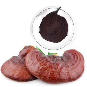 Nhà Sản Xuất Tự Nhiên Nấm Linh Chi Lucidum/LinZhi Chiết Xuất Viên Nang Sản Phẩm Mua Chăm Sóc Sức Khỏe - Product Image 4