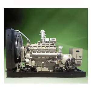 Gashersteller für saubere Energie 50/60 Hz direkt vom Werk Naturgas-/Biogas-/LPG-Motorgenerator