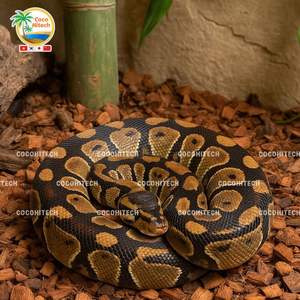 USO DE COCO NATURAL EN FORMA DE CHIPS PARA CAMA DE ANIMALES - Product Image 6