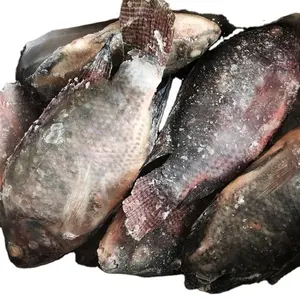 New Season Whole Round Frozen Black Tilapia Fish Seafood For Africa