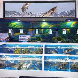 Kéo Dài Thanh Màn Hình Màn Hình Cảm Ứng USB Autoplay 24Inch 1920x360 Android11 Siêu Rộng Màn Hình Màn Hình 24 ''Xách Tay Màn Hình Hiển Thị - Product Image 6