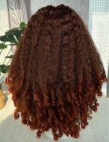 Perruque synthétique Lace Front HelloHAIR, cheveux afro crépus, fibre haute température, sans colle, tressée, pour femmes noires