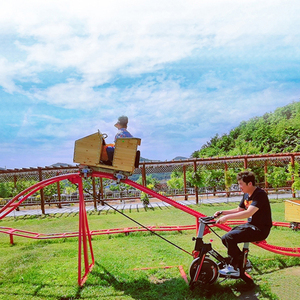 Montaña Rusa <span class=keywords><strong>de</strong></span> Acero Económica para Niños, Parque <span class=keywords><strong>de</strong></span> Diversiones Comercial, Jardín, Patio Trasero, Entretenimiento Familiar - Product Image 4