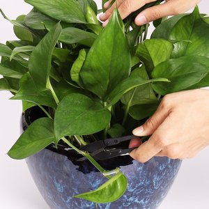 Meilleures ventes Coupe-fil Mini fil <span class=keywords><strong>Ciseaux</strong></span> <span class=keywords><strong>de</strong></span> <span class=keywords><strong>couture</strong></span> - Product Image 6