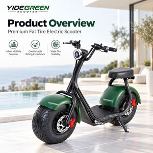 YIDEGREEN Brasilien Lokales Lager R1 Elektroroller Großhandel Hersteller 25 Grad Steigfähigkeit - Product Image 5