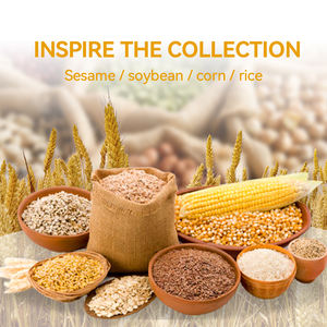 Biji wijen mentah alami 100% biji wijen putih murni untuk dijual dengan harga terbaik - Product Image 4