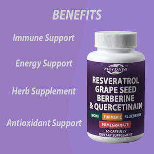 อาหารเสริมเรสเวอราทรอล, เบอร์เบอรีน, สารสกัดจากเมล็ดองุ่น, ควอเซทิน สำหรับผู้หญิงและผู้ชาย ผสมสารสกัดจากโนนิ เสริมสร้างภูมิคุ้มกัน (OEM/ODM) - Product Image 3