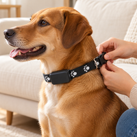 Collier GPS pour animaux de compagnie (chiens et chats) avec positionnement BeiDou Wi-Fi, dispositif compact P03 et sangle à empreintes de pattes