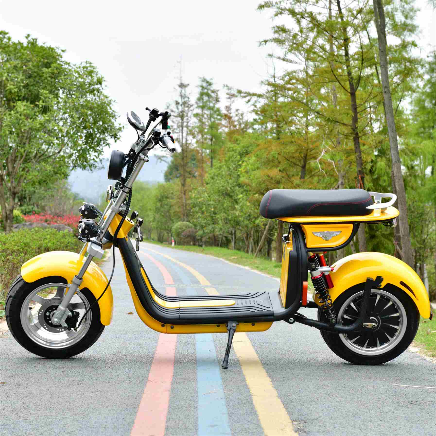 Fat Tire 1500W Electric Scooter with Disc Brake & Customized