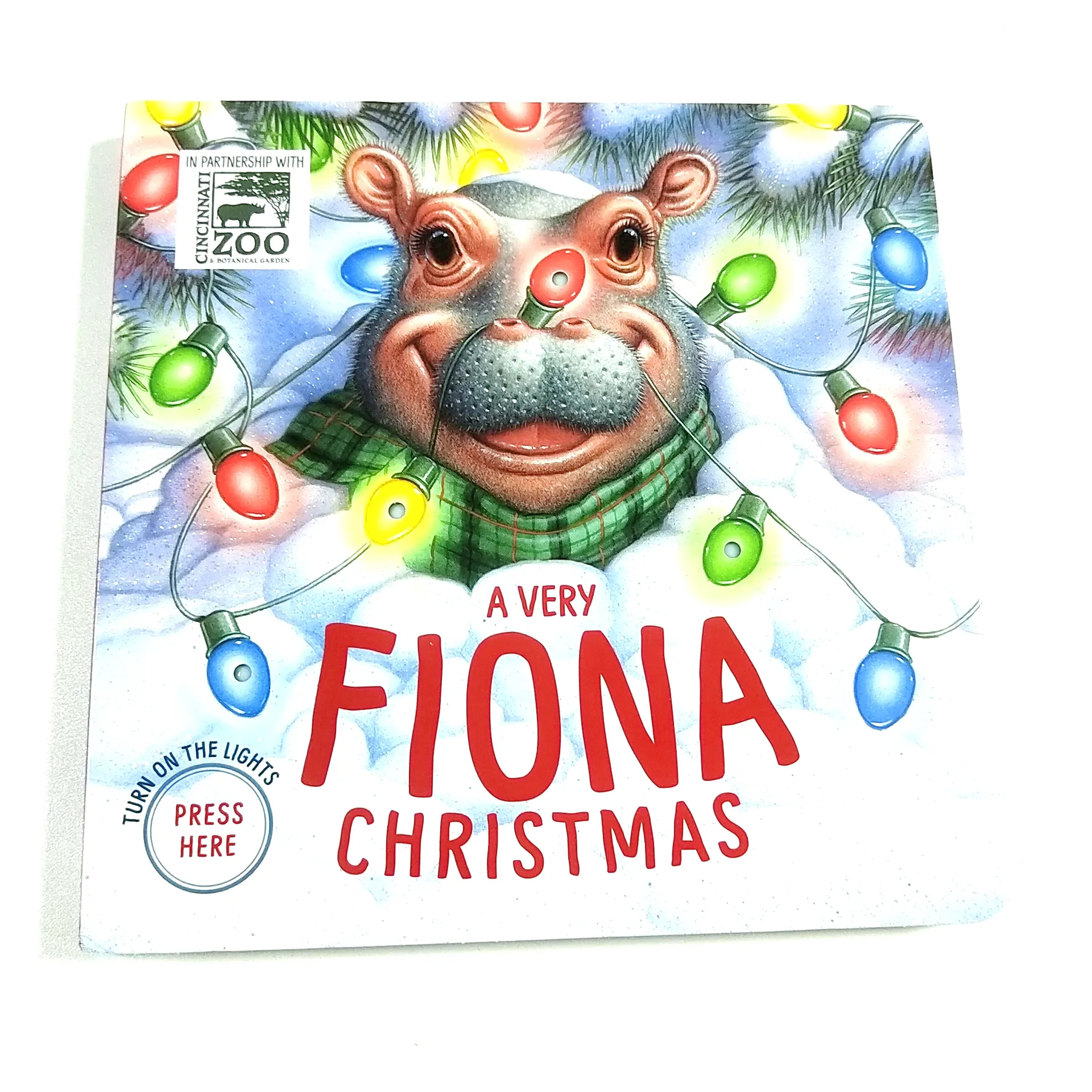 Fiona Christmas accendi le luci libro a LED un libro illuminato